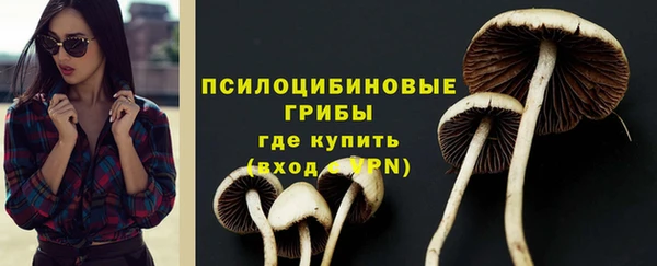 стаф Ессентукская