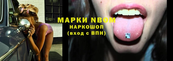 стаф Краснослободск