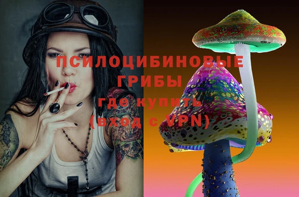 спиды Санкт-Петербург