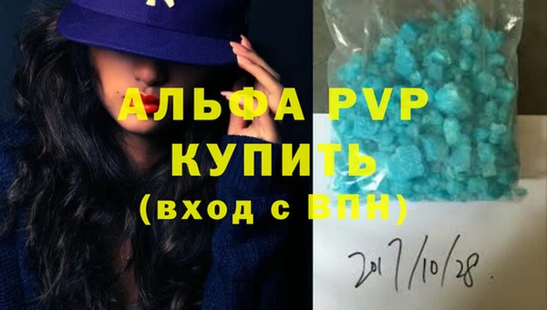 стаф Краснослободск