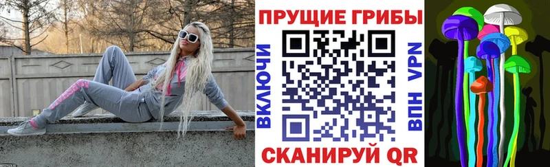 Псилоцибиновые грибы GOLDEN TEACHER  купить наркоту  Ленинградская 
