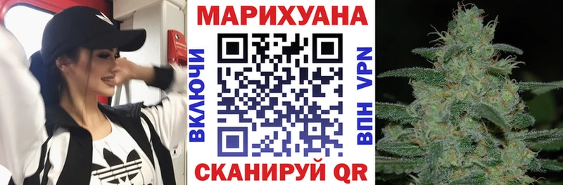 Бошки Шишки гибрид Ленинградская